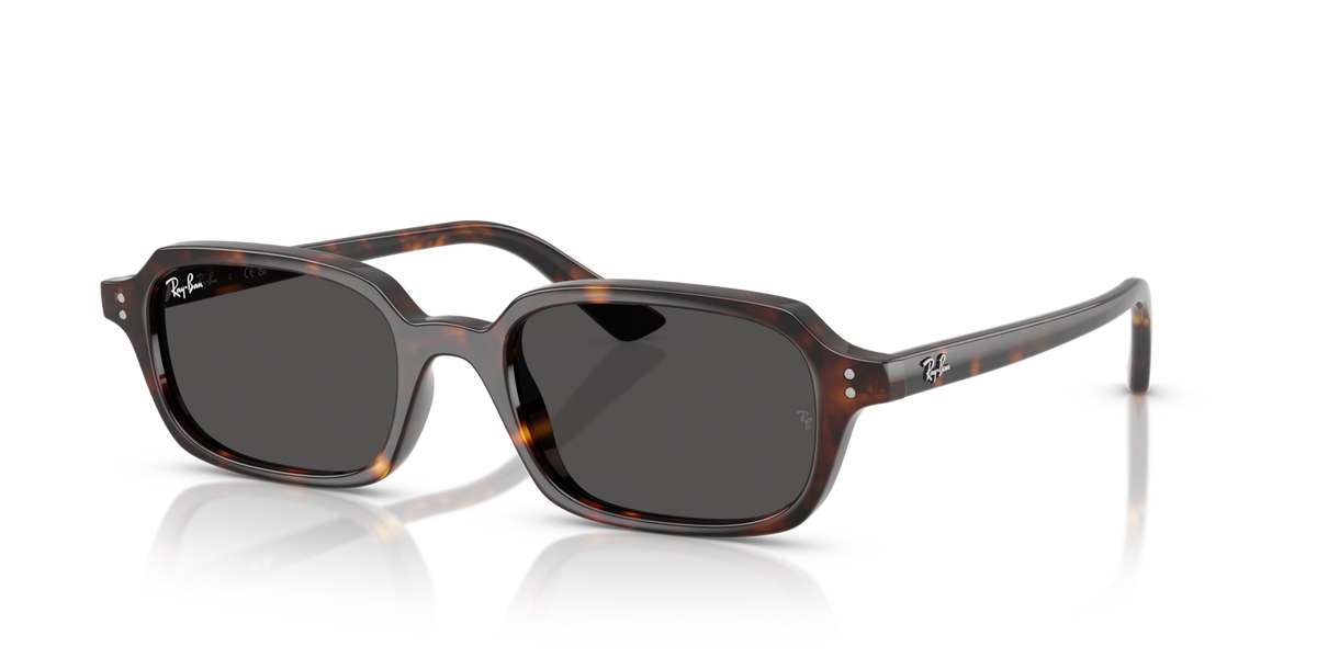 Ray-Ban Zuri RB4455 1359/87 49 Sunglasses