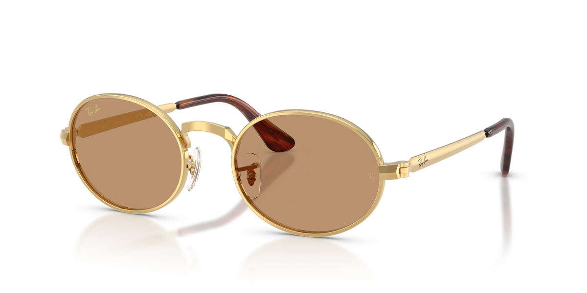 Ray-Ban RB3931 001/53 54 Sunglasses