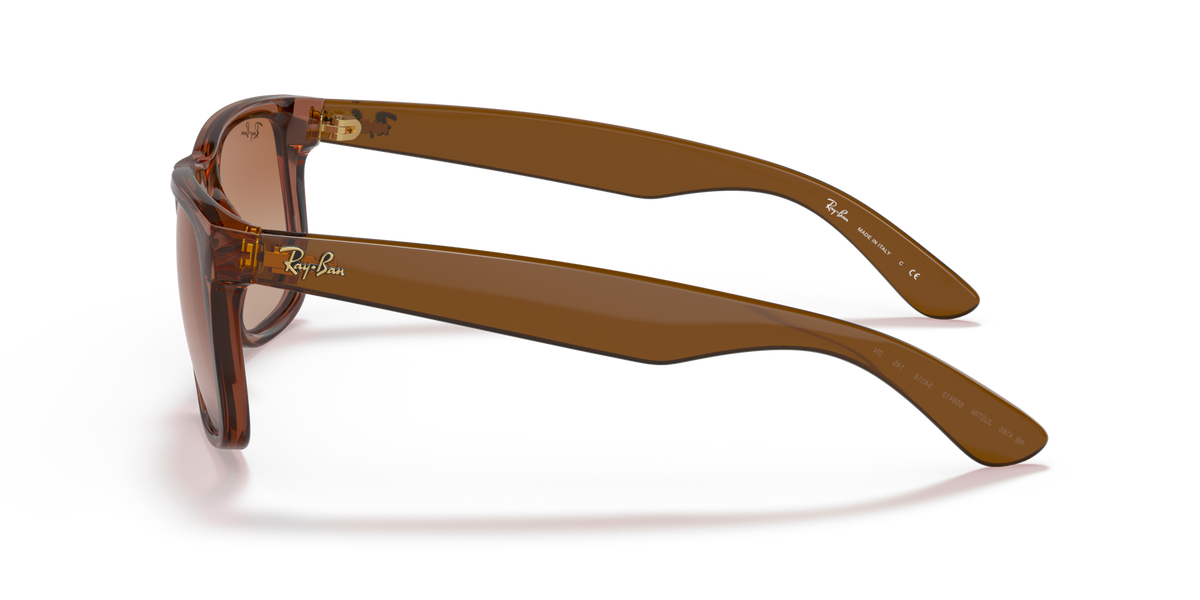 Ray-Ban Justin RB4165 659413 55 sunglasses, side view