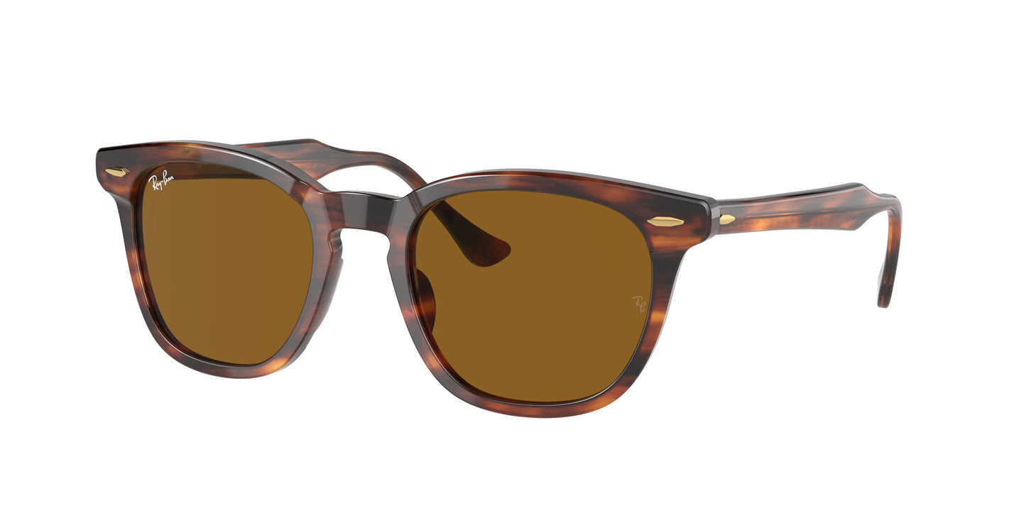 RAYBAN RB2298 954/33 HAWKEYE