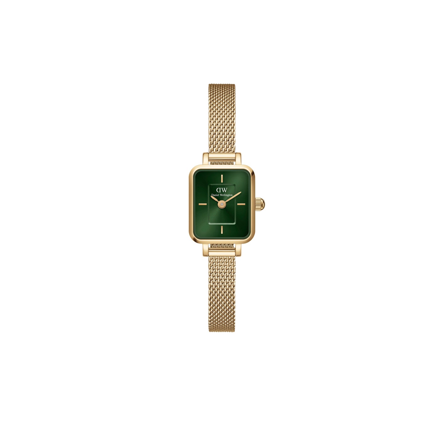 DANIEL WELLINGTON EVERGOLD DW00100653