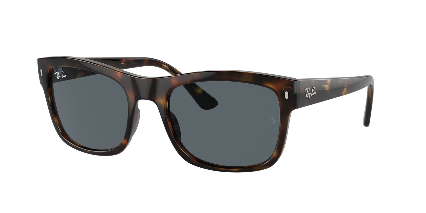 RAYBAN RB4428 710/R5 56