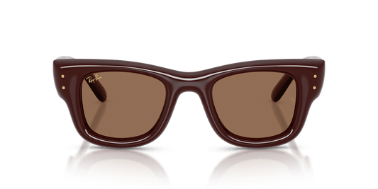 Ray-Ban Wayfarer Puffer RB4940 687773 brown lenses