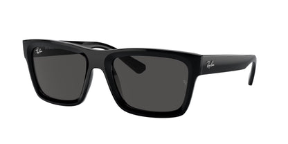 Ray-Ban Warren RB4396 667771 57 Sunglasses