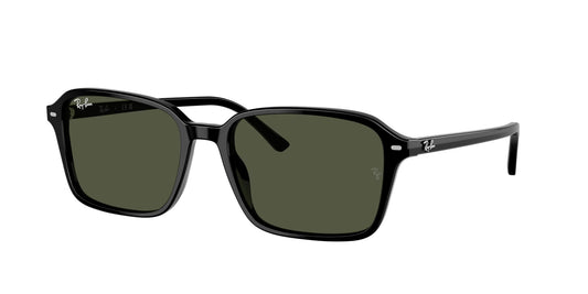 RAYBAN RB2231 901/31 56
