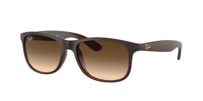 Ray-Ban RB4202 607313 Sunglasses