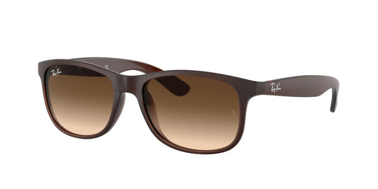 RAYBAN RB4202 607313