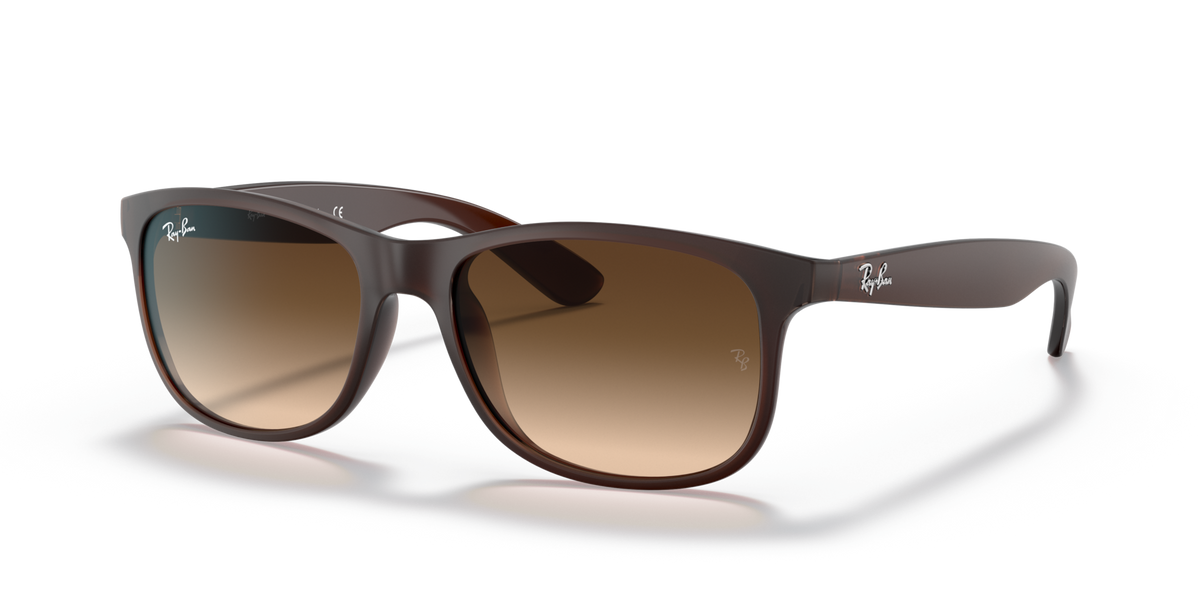 Ray-Ban RB4202 607313 Sunglasses