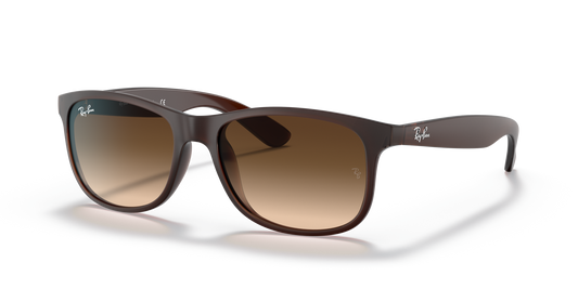 Ray-Ban RB4202 607313 Sunglasses