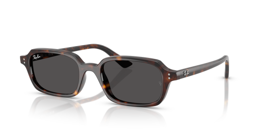 Ray-Ban Zuri RB4455 1359/87 49 Sunglasses