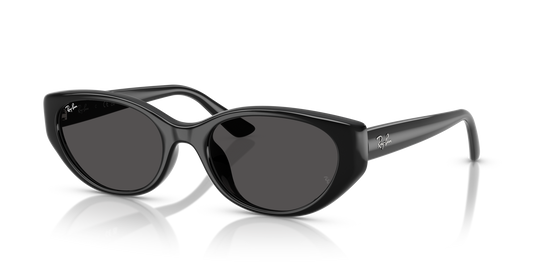 Ray-Ban RB4457 6677/87 Sunglasses