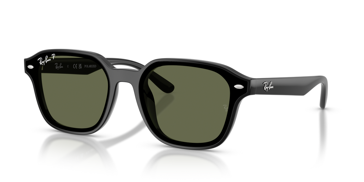 Ray-Ban RB4458D 601/9A 65 Polarised Sunglasses