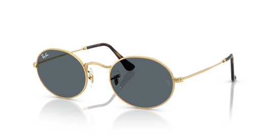 Ray-Ban Oval RB3547N 001/R5 51 Sunglasses