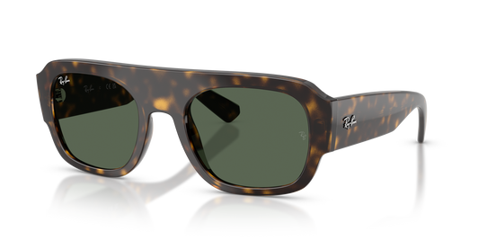Ray-Ban RB2218 6790/71 55 Sunglasses