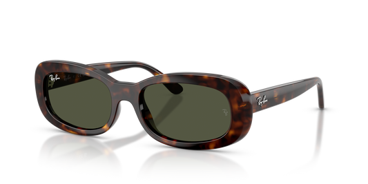 Ray-Ban RB2221 902/31 53 Sunglasses