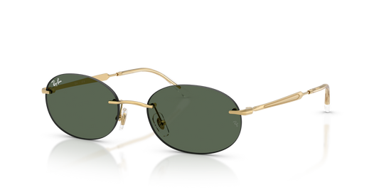 Ray-Ban RB3767 001/71 54 Sunglasses