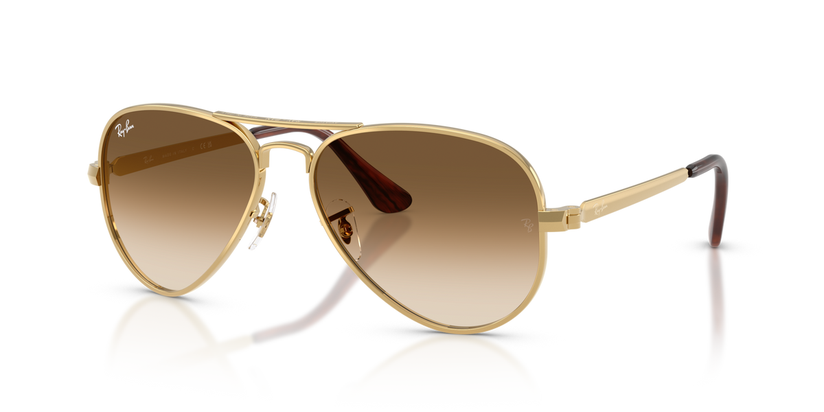 Ray-Ban Aviator Max RB3925 001/51 58 Sunglasses