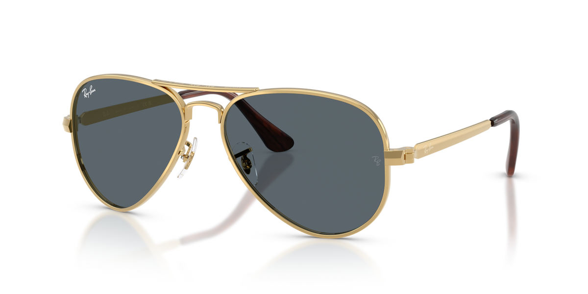 Ray-Ban Aviator Max RB3925 001/R5 58 Sunglasses