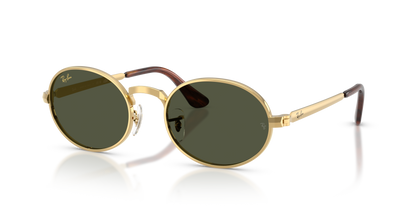Ray-Ban RB3931 001/31 54 Sunglasses