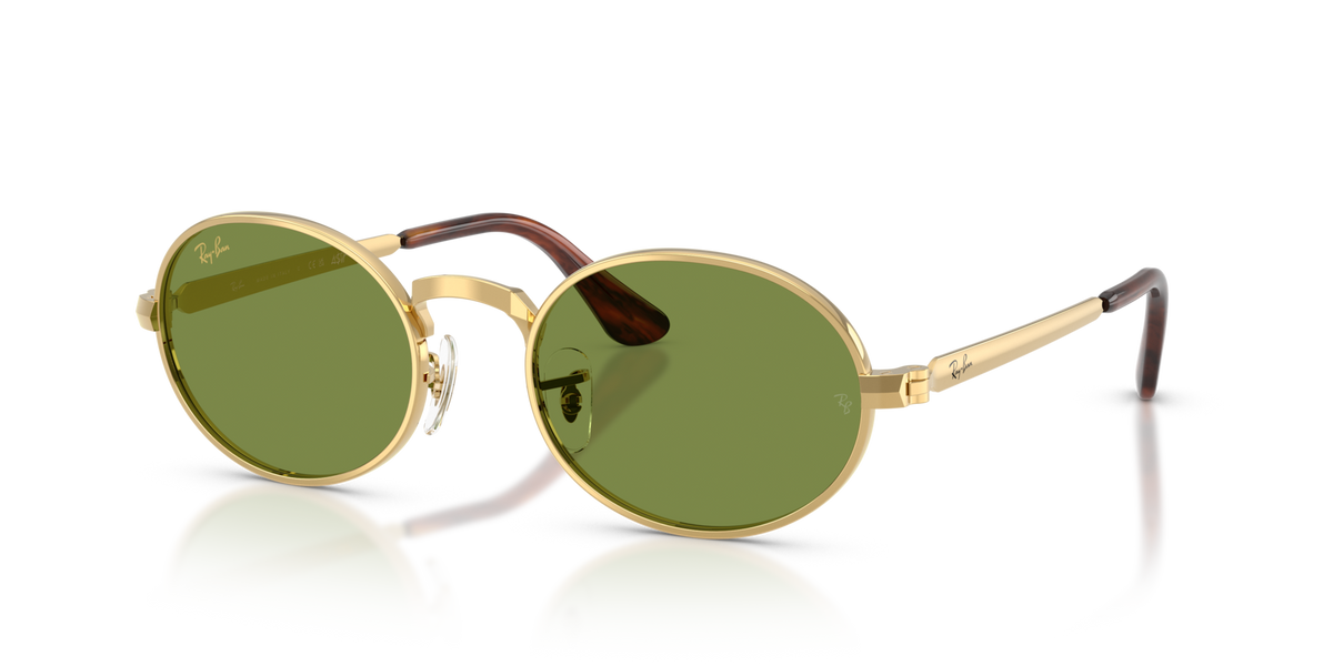 Ray-Ban x ASAP Rocky RB3931 001/4E 54 Sunglasses