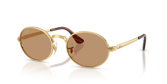 Ray-Ban RB3931 001/53 54 Sunglasses