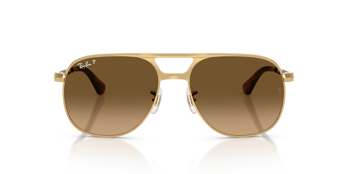 Ray-Ban Bill Max RB3793 001/M2
