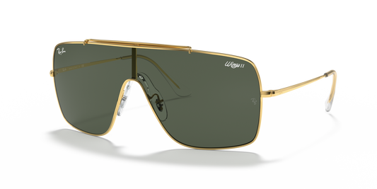 Ray-Ban RB3697 905071 Sunglasses