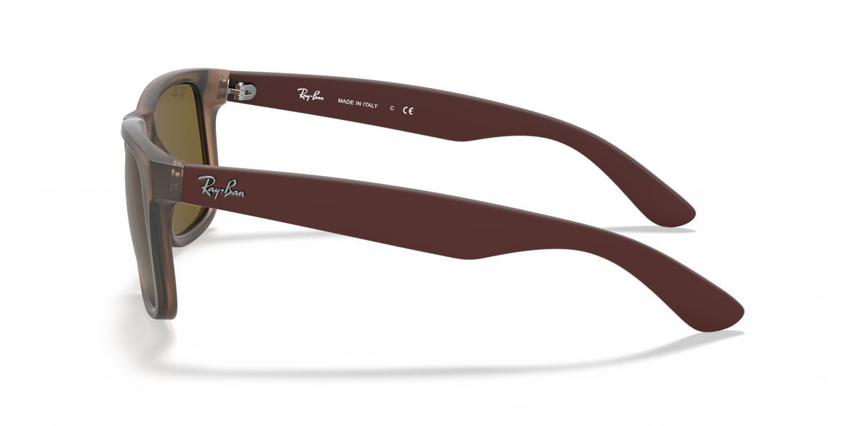 Ray-Ban Justin RB4165 651073 55 sunglasses, side view