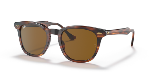 Ray-Ban Hawkeye RB2298 954/33 Sunglasses