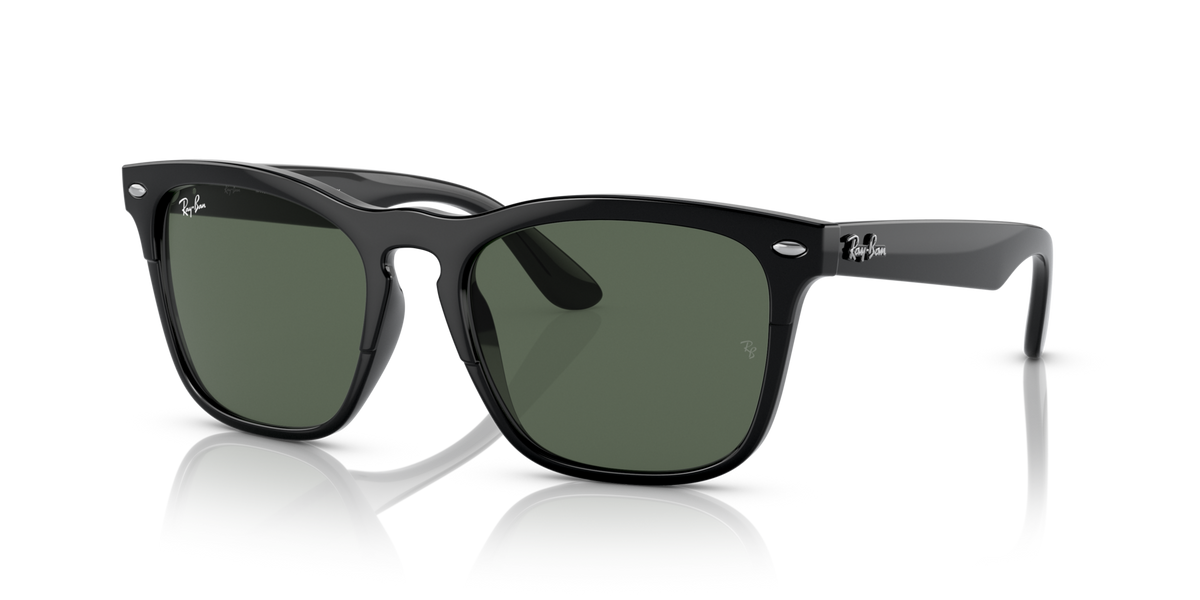 Ray-Ban Steve RB4487 6629/71 54 Sunglasses