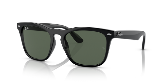 Ray-Ban Steve RB4487 6629/71 54 Sunglasses