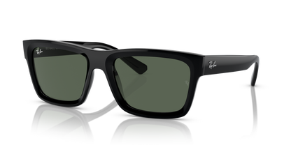 Ray-Ban Warren RB4396 667771 57 Sunglasses