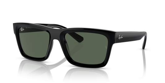 Ray-Ban Warren RB4396 667771 57 Sunglasses