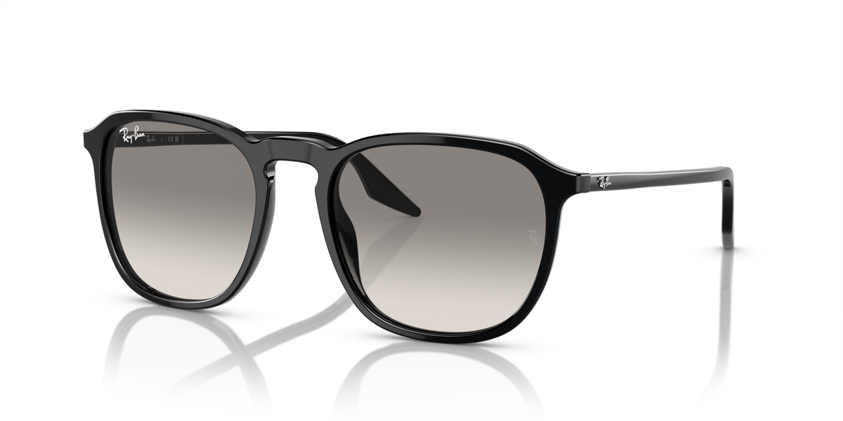 Ray-Ban RB2203 901/32 55 Sunglasses