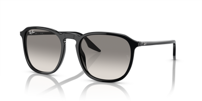 Ray-Ban RB2203 901/32 55 Sunglasses