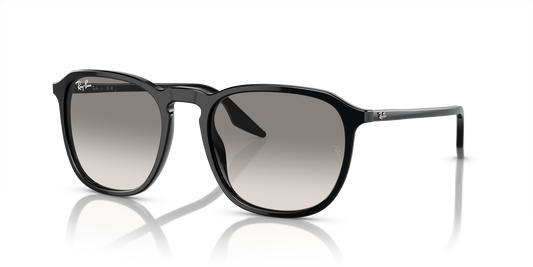 Ray-Ban RB2203 901/32 55 Sunglasses