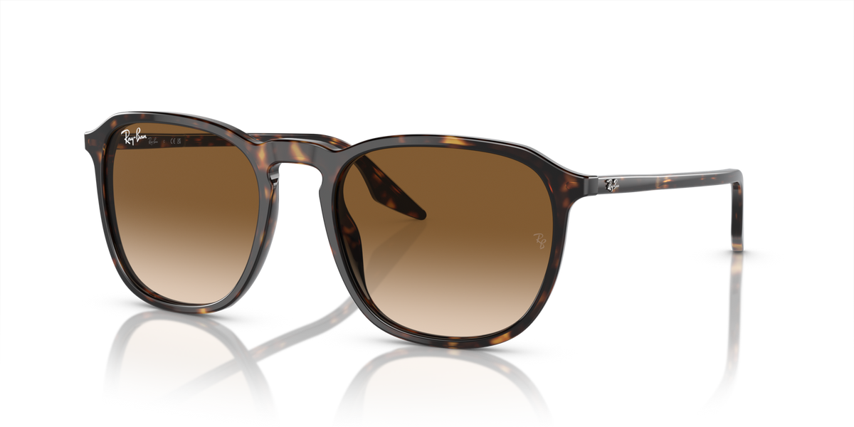 Ray-Ban RB2203 902/51 52 Sunglasses