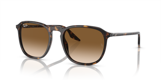 Ray-Ban RB2203 902/51 52 Sunglasses
