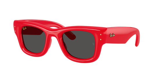 RAYBAN RB4940 6831/87 47 PUFFER