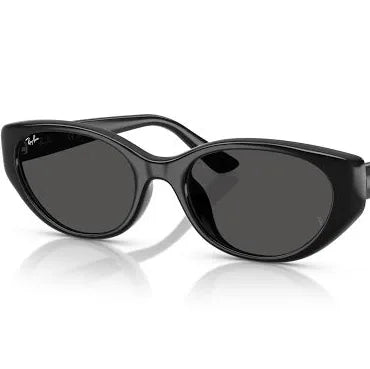 RAYBAN RB4457 667787