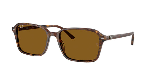 RAYBAN RB2231 RAIMOND 1418/33 55