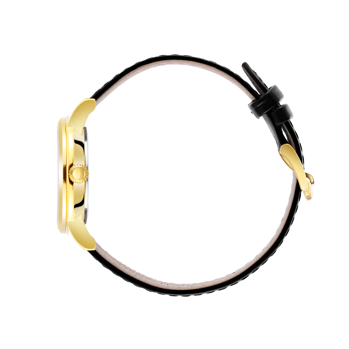 Rotary LS05423/01 dial detail