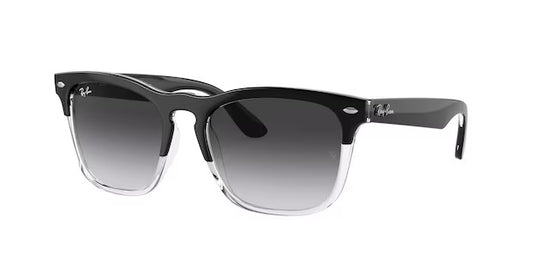 RAYBAN RB4487 66308G 54 STEVE